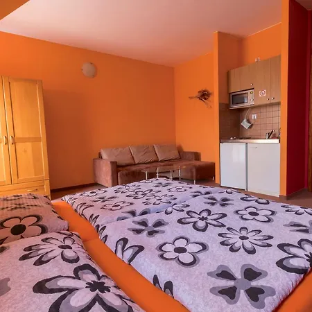 Penzión pre hostí Panorama *